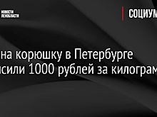 Цены на корюшку в Петербурге превысили 1000 рублей за килограмм