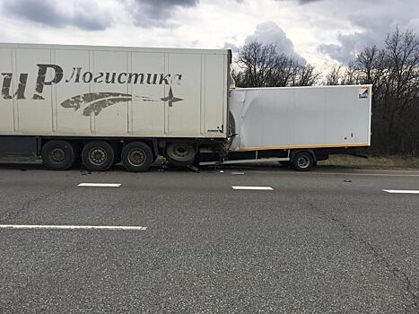 Не заметил фуру на обочине: в Ростовской области в ДТП погиб водитель грузовика