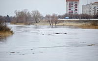 Уровень воды в реке Тобол в районе Кургана вырос до 968 см