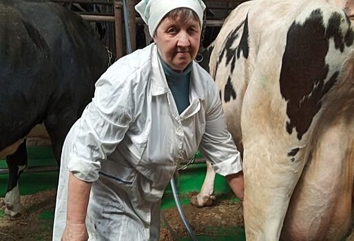 Лучшие нижегородские доярки с одной коровы получают за год свыше 13 тысяч кг молока