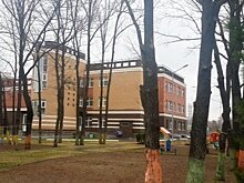 "Конкурсник" частного детсада "Егоза" оспаривает сделки с бывшим замглавы Минсвязи Татарстана
