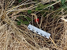 В Волгоградской области молодая пара пойдет под суд за 70 закладок с наркотиками