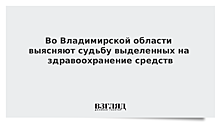 Во Владимирской области выясняют судьбу выделенных на здравоохранение средств