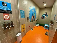 В аэропортах предложили сделать комнаты для кошек и собак