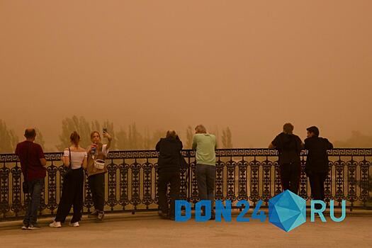 Подарка от природы нет: донской врач рассказала, что делать во время пыльных бурь людям с чувствительной слизистой