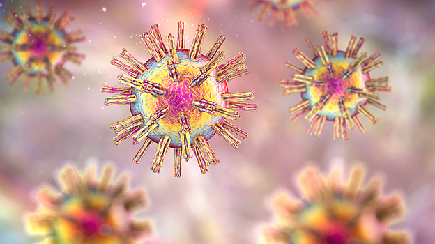 Как иммунитет борется с вирусом герпеса - и почему тот иногда побеждает