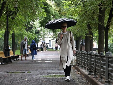 Вильфанд предупредил о пожароопасной погоде в Москве в конце недели