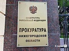 ДТП с погибшими пенсионерками в Выксе заинтересовало прокуратуру