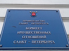 Районные агентства петербургского КИО начнут работать с 5 августа
