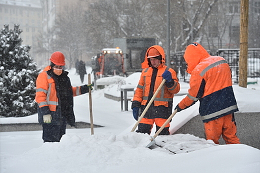 Московские коммунальщики поделились опытом работы в зимний период с коллегами из США