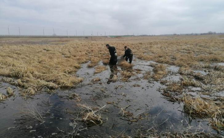 В Курской области в болоте погиб мужчина