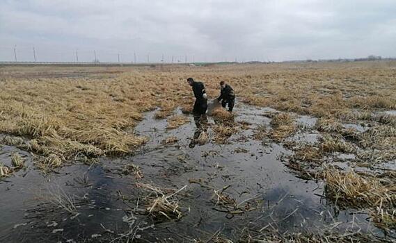 В Курской области в болоте погиб мужчина