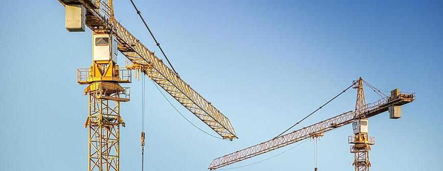 Новый портальный кран Витязь ввели в Петербурге с опережением графика