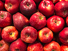 Российские садоводы рассказали о вреде иностранных яблок