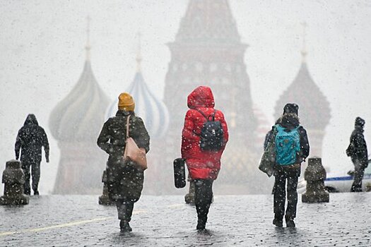 Москвичей предупредили о снегопаде в конце недели