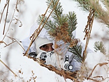 За неявку в военкомат российских призывников хотят наказывать строже