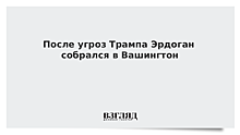 После угроз Трампа Эрдоган собрался в Вашингтон