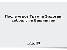 После угроз Трампа Эрдоган собрался в Вашингтон