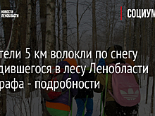 Спасатели 5 км волокли по снегу заблудившегося в лесу Ленобласти фотографа - подробности