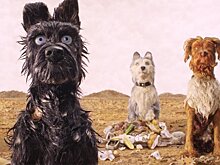 Японская фотография и московский модерн: чем любоваться в пятницу вечером