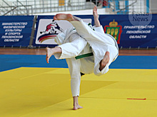Соревнования по дзюдо на кубок главы СКР планируется провести в Пензенской области