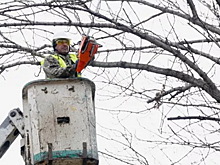 В Биробиджане 13 апреля ограничат движение транспорта по улице Горького