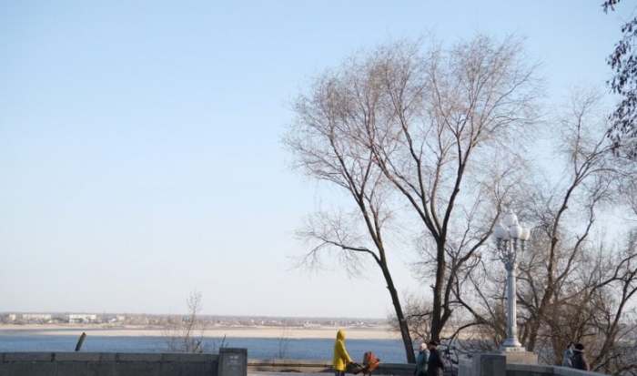 Жителей Волгоградской области предупредили о заморозках до -5 градусов