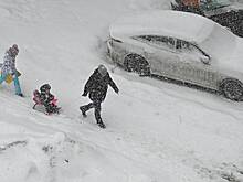 Москвичам предсказали самый снежный день
