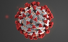Таиланд обновил антирекорд по числу смертей от коронавируса за сутки