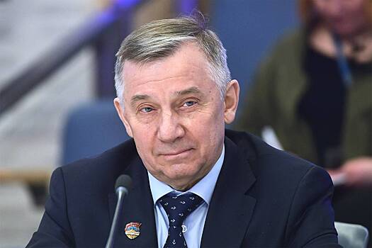 Вице-президент Ассоциации полярников оценил систему онлайн-голосования в Москве