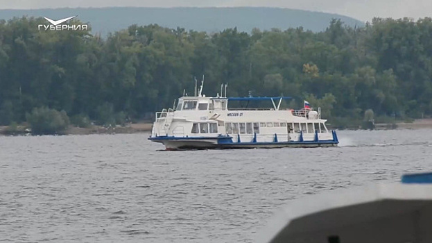 Члены Совета Госдумы оценили инфраструктуру самарского речного вокзала