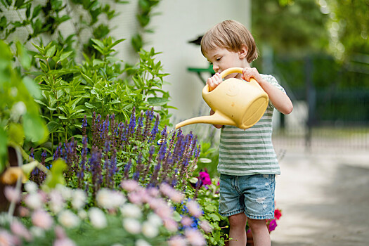 Садовод рассказал, какие растения подойдут для создания клумбы