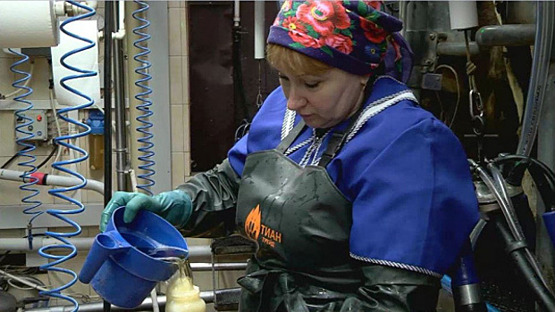 Рабочий день с 5 утра: "Профессионал года" из Самарской области рассказала о секретах мастерства