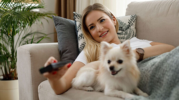 Что смотреть с собакой: лучшие фильмы для питомцев