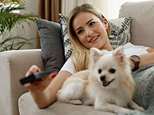 Что смотреть с собакой: лучшие фильмы для питомцев