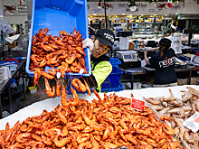 Индия в связи с пошлинами от США увеличит поставки морепродуктов, в том числе в Россию