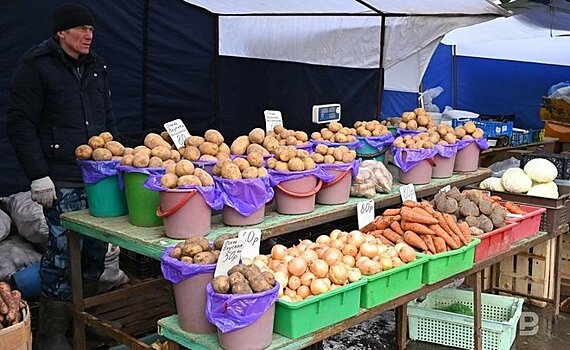 Объем продукции сельского хозяйства в Татарстане составил 69,4 млрд рублей