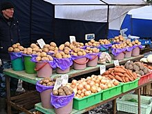 Объем продукции сельского хозяйства в Татарстане составил 69,4 млрд рублей
