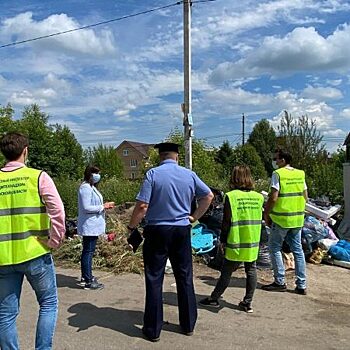 В Подмосковье проходят рейды «Чистая контейнерная площадка для отходов»