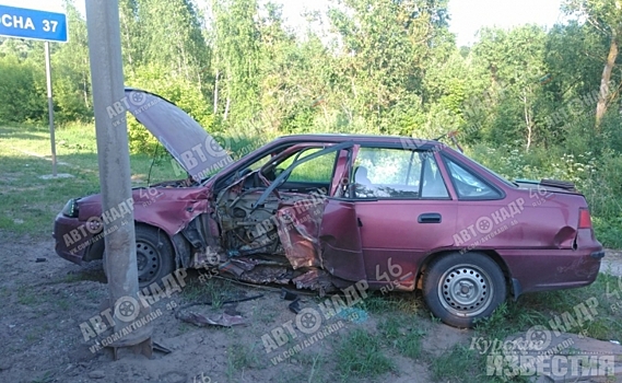 В Курской области на трассе столкнулись автомобиль и пассажирский автобус