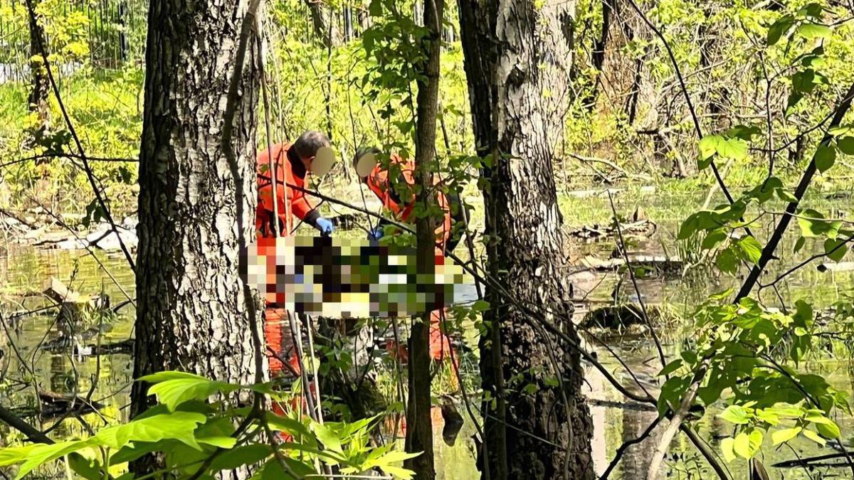 Тело 13-летней девочки обнаружили в лесопарке на востоке Москвы