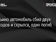 В Марьино автомобиль сбил двух пешеходов и скрылся, один погиб