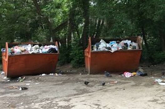 Тариф на вывоз мусора может снизиться в течение трёх месяцев на Дону