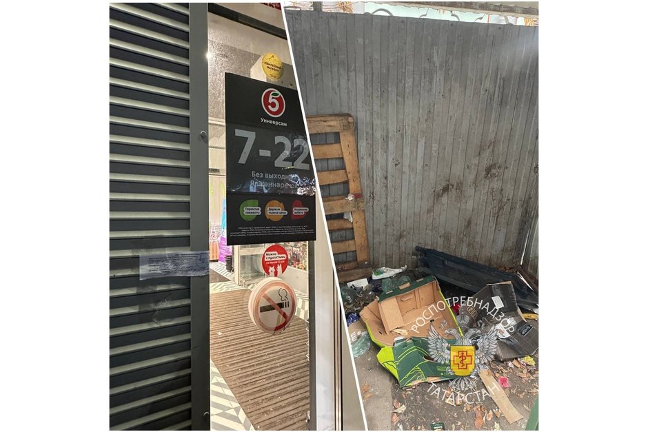 Магазин «Пятерочка» в Казани закрыли на 20 суток из-за нашествия грызунов