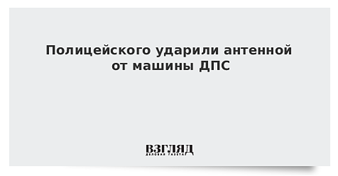 Мужчина избил полицейского антенной от автомобиля ДПС