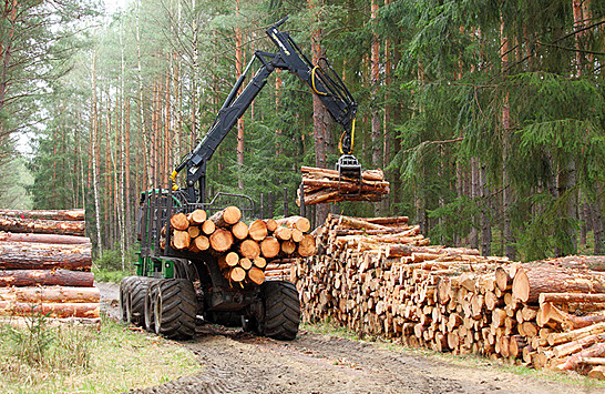 «Коммерсантъ»: лесопромышленная RFP Group Романа Абрамовича ищет нового инвестора