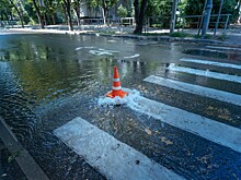 «Дарёному коню!»: депутат Гордумы Краснодара прокомментировала работу подрядчика