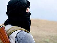 Талибы опровергли информацию о встрече с главой ЦРУ