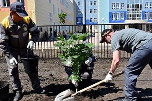 По инициативе РНПК в Рязани высадили 500 деревьев и кустарников