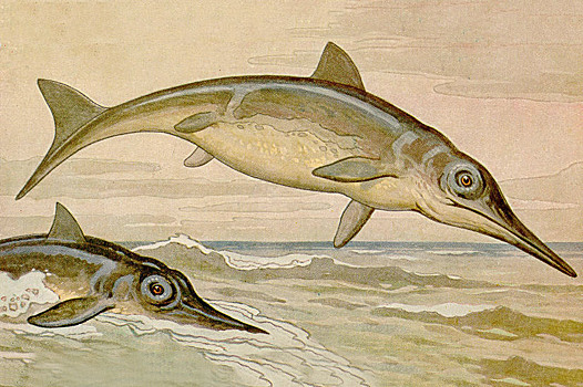 В Англии обнаружены кости гигантского ихтиозавра